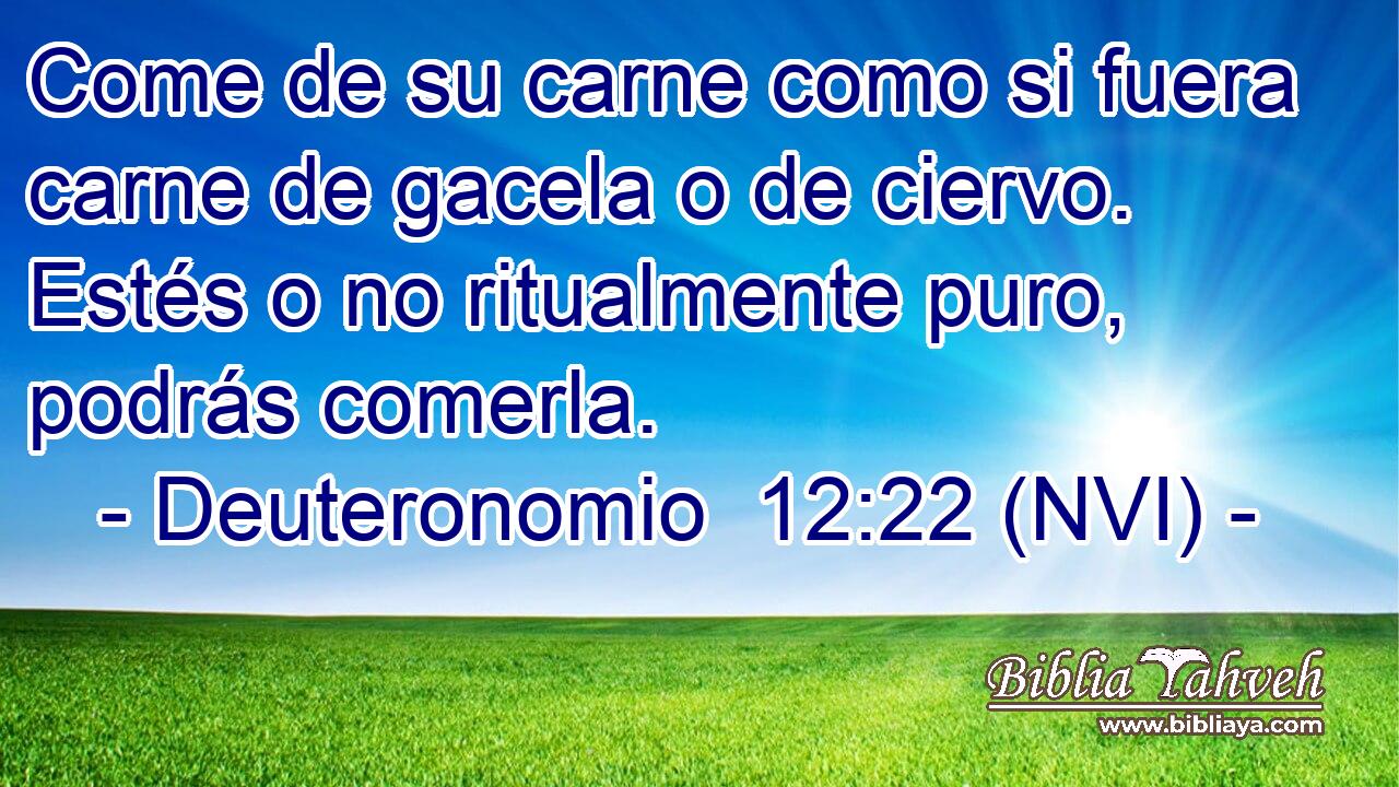  Come de su carne como si fuera carne de gacela o de ciervo. Estés o no ritualmente puro, podrás comerla. 