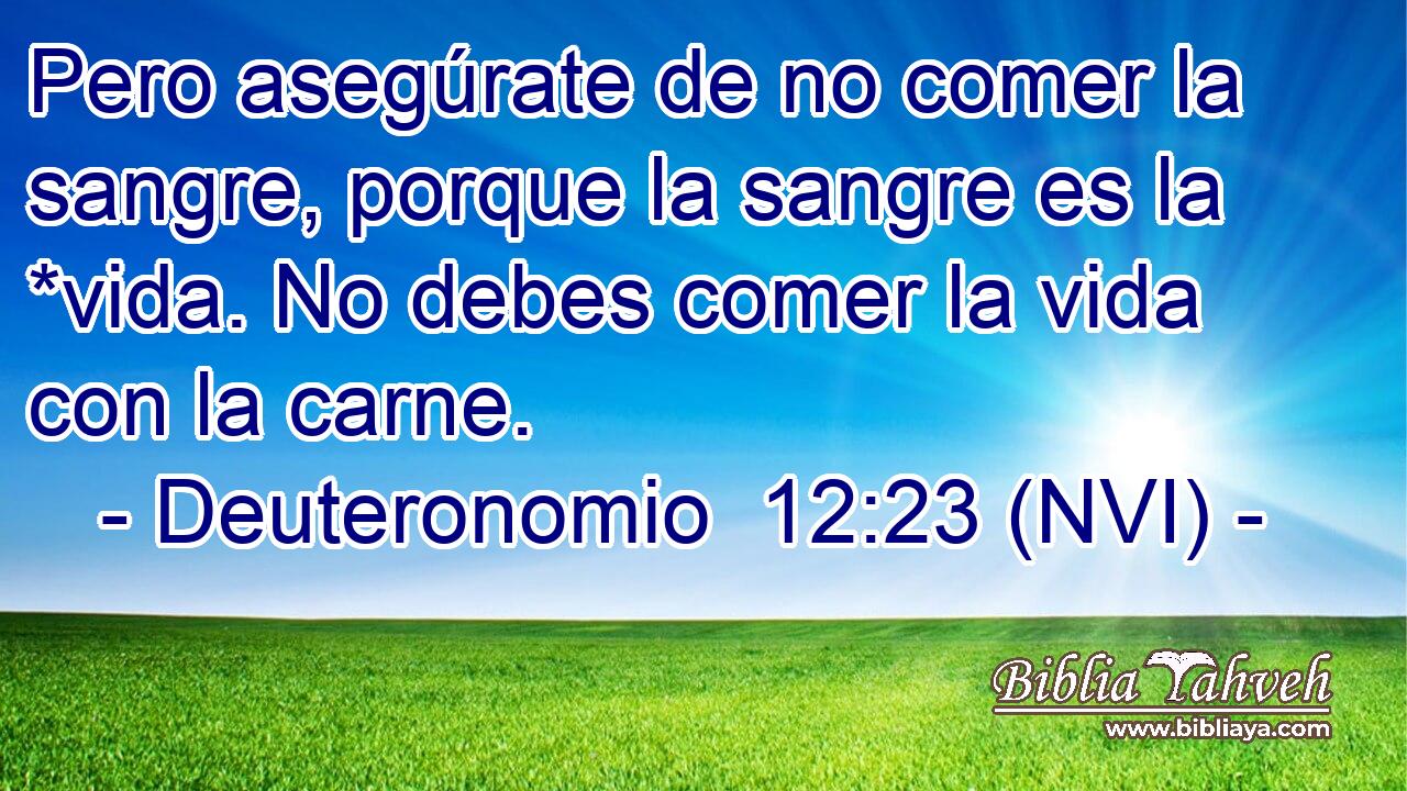  Pero asegúrate de no comer la sangre, porque la sangre es la *vida. No debes comer la vida con la carne. 