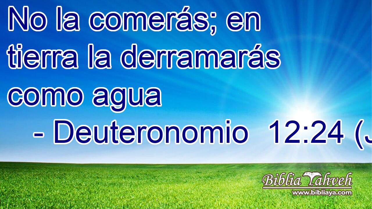 No la comerás; en tierra la derramarás como agua