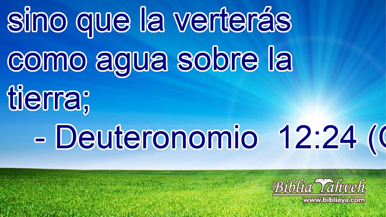  sino que la verterás como agua sobre la tierra; 