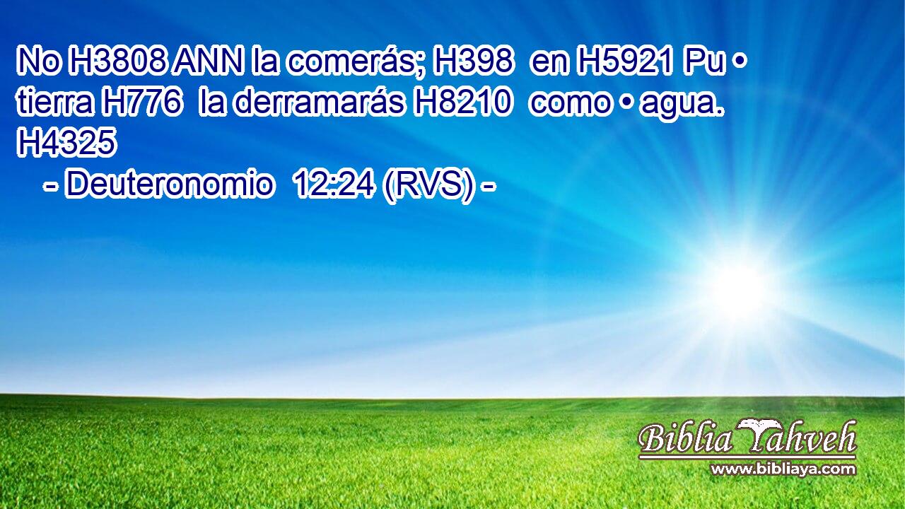 No H3808 ANN la comerás; H398  en H5921 Pu • tierra H776  la derramarás H8210  como • agua. H4325  