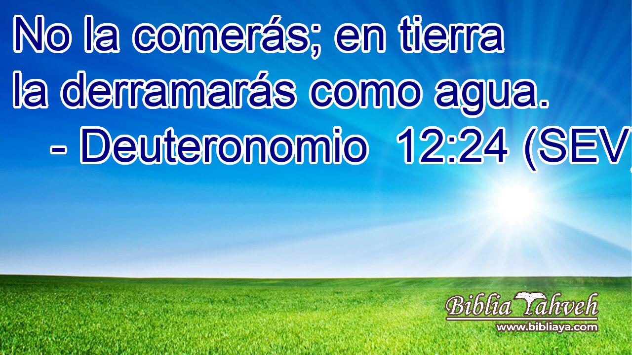No la comerás; en tierra la derramarás como agua.