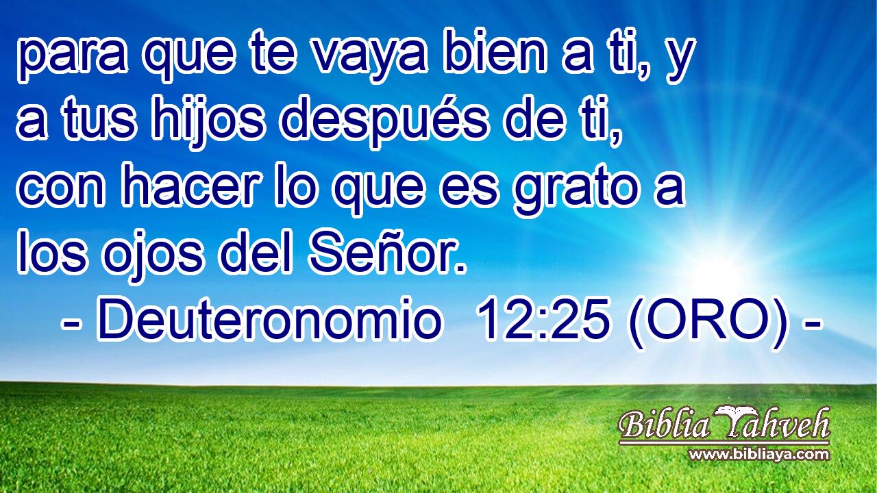  para que te vaya bien a ti, y a tus hijos después de ti, con hacer lo que es grato a los ojos del Señor. 