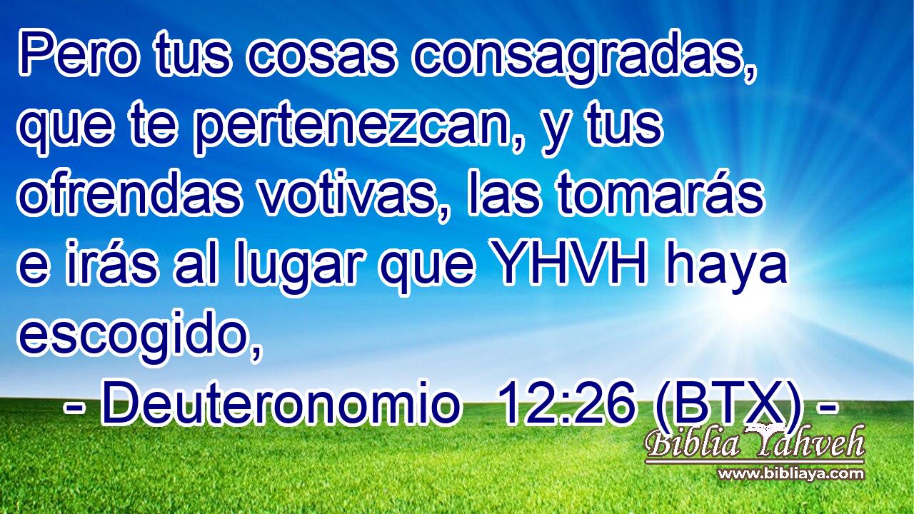 Pero tus cosas consagradas, que te pertenezcan, y tus ofrendas votivas, las tomarás e irás al lugar que YHVH haya escogido,