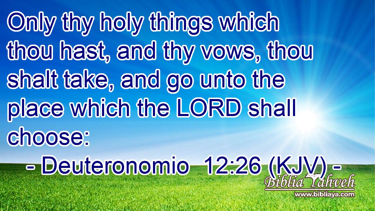 Only thy holy things which thou hast, and thy vows, thou shalt take, and go unto the place which the LORD shall choose: