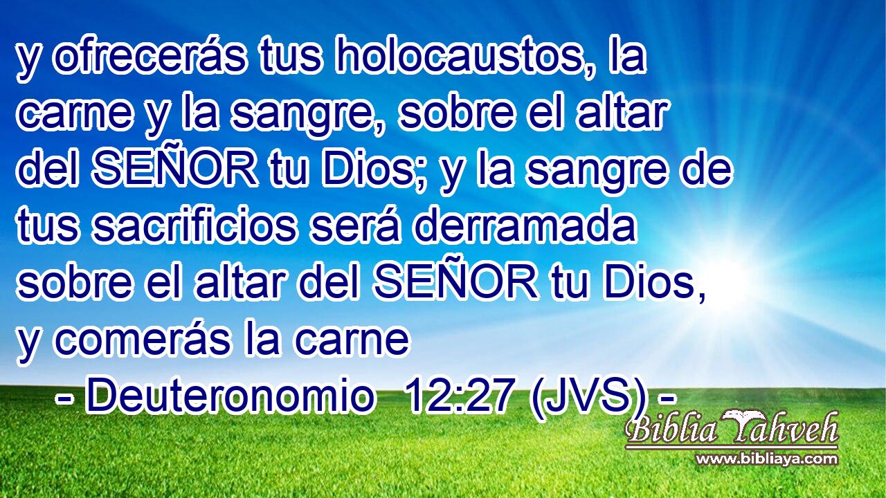 y ofrecerás tus holocaustos, la carne y la sangre, sobre el altar del SEÑOR tu Dios; y la sangre de tus sacrificios será derramada sobre el altar del SEÑOR tu Dios, y comerás la carne
