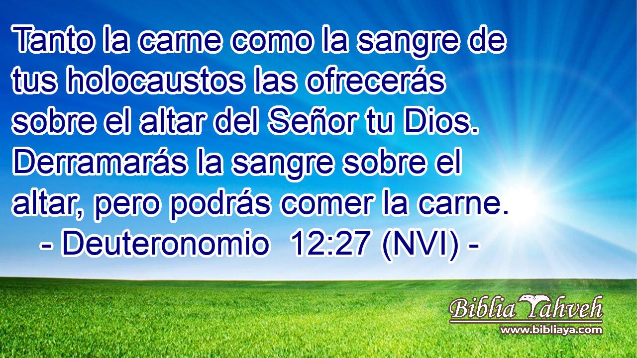  Tanto la carne como la sangre de tus holocaustos las ofrecerás sobre el altar del Señor tu Dios. Derramarás la sangre sobre el altar, pero podrás comer la carne. 