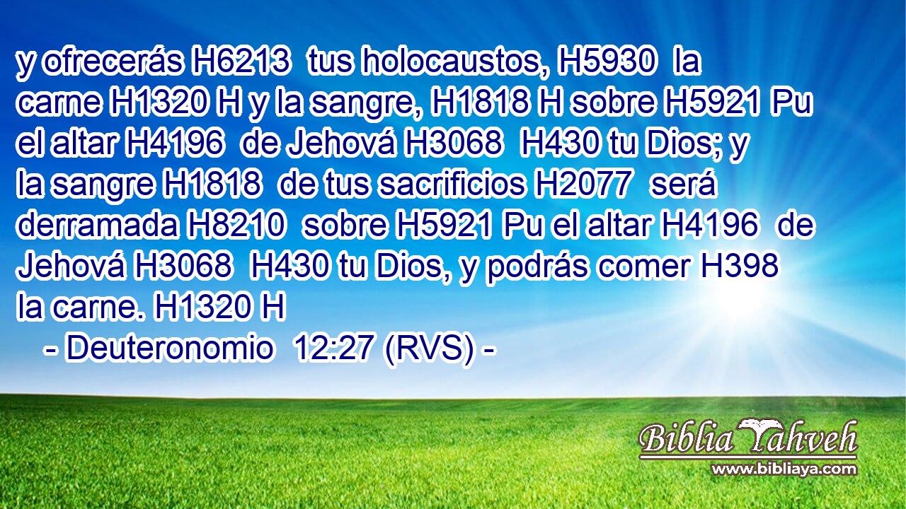 y ofrecerás H6213  tus holocaustos, H5930  la carne H1320 H y la sangre, H1818 H sobre H5921 Pu el altar H4196  de Jehová H3068  H430 tu Dios; y la sangre H1818  de tus sacrificios H2077  será derramada H8210  sobre H5921 Pu el altar H4196  de Jehová H3068  H430 tu Dios, y podrás comer H398  la carne. H1320 H 