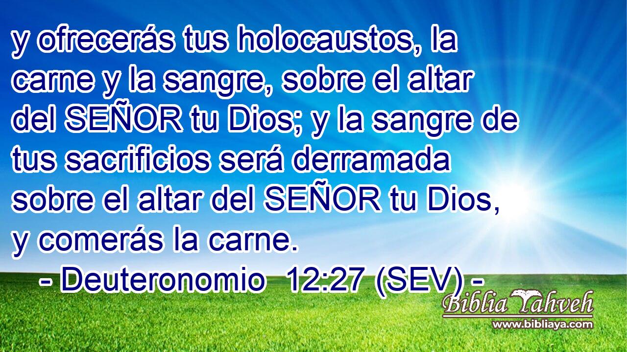 y ofrecerás tus holocaustos, la carne y la sangre, sobre el altar del SEÑOR tu Dios; y la sangre de tus sacrificios será derramada sobre el altar del SEÑOR tu Dios, y comerás la carne.