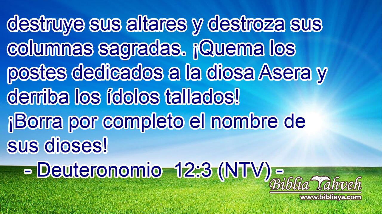 destruye sus altares y destroza sus columnas sagradas. ¡Quema los postes dedicados a la diosa Asera y derriba los ídolos tallados! ¡Borra por completo el nombre de sus dioses!