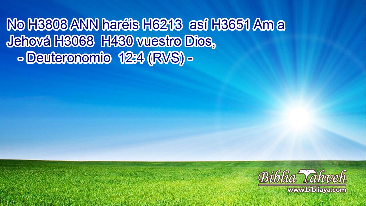 No H3808 ANN haréis H6213  así H3651 Am a Jehová H3068  H430 vuestro Dios, 