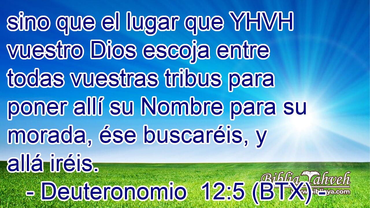 sino que el lugar que YHVH vuestro Dios escoja entre todas vuestras tribus para poner allí su Nombre para su morada, ése buscaréis, y allá iréis.