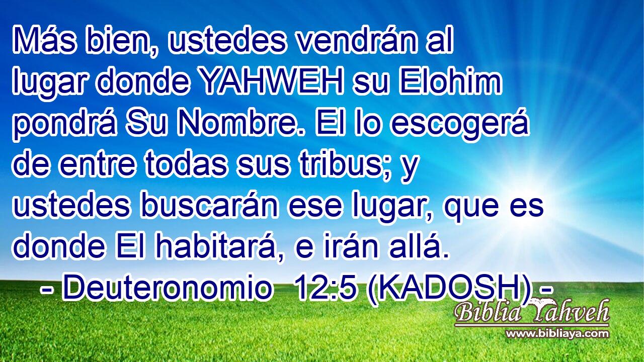  Más bien, ustedes vendrán al lugar donde YAHWEH su Elohim pondrá Su Nombre. El lo escogerá de entre todas sus tribus; y ustedes buscarán ese lugar, que es donde El habitará, e irán allá. 