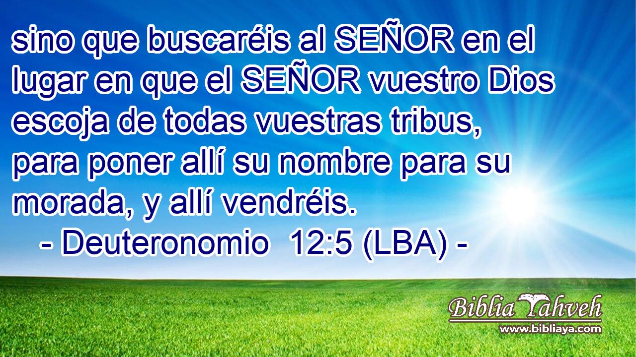 sino que buscaréis al SEÑOR en el lugar en que el SEÑOR vuestro Dios escoja de todas vuestras tribus, para poner allí su nombre para su morada, y allí vendréis.