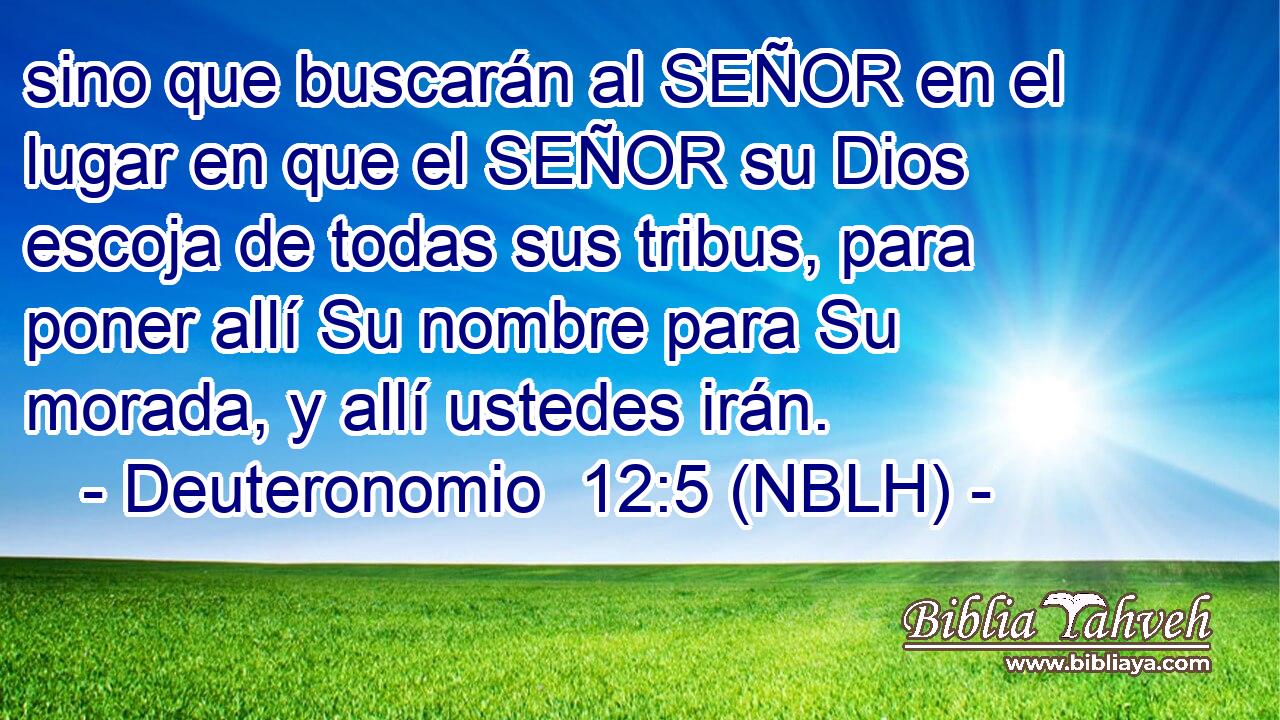  sino que buscarán al SEÑOR en el lugar en que el SEÑOR su Dios escoja de todas sus tribus, para poner allí Su nombre para Su morada, y allí ustedes irán. 