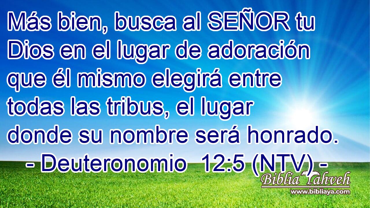 Más bien, busca al SEÑOR tu Dios en el lugar de adoración que él mismo elegirá entre todas las tribus, el lugar donde su nombre será honrado.