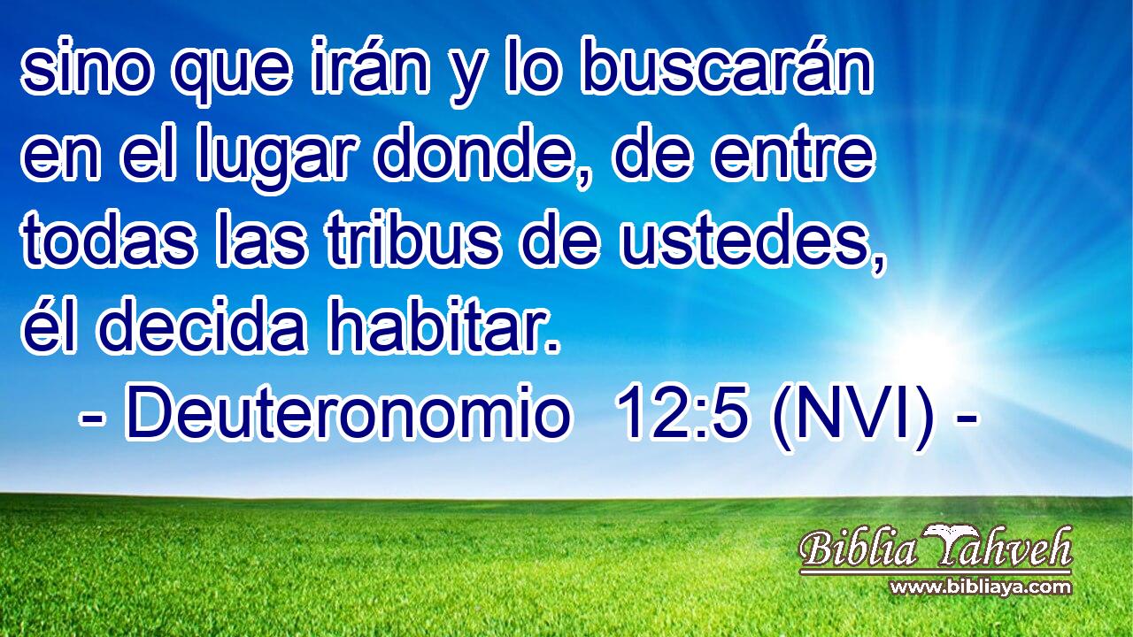  sino que irán y lo buscarán en el lugar donde, de entre todas las tribus de ustedes, él decida habitar. 