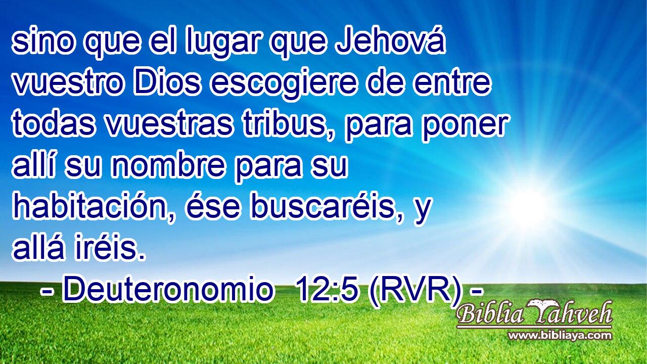 sino que el lugar que Jehová vuestro Dios escogiere de entre todas vuestras tribus, para poner allí su nombre para su habitación, ése buscaréis, y allá iréis.