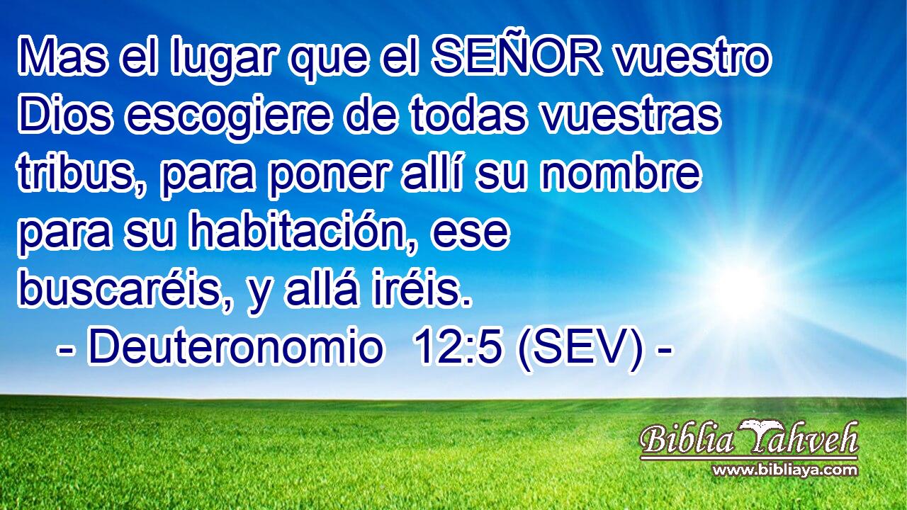 Mas el lugar que el SEÑOR vuestro Dios escogiere de todas vuestras tribus, para poner allí su nombre para su habitación, ese buscaréis, y allá iréis.