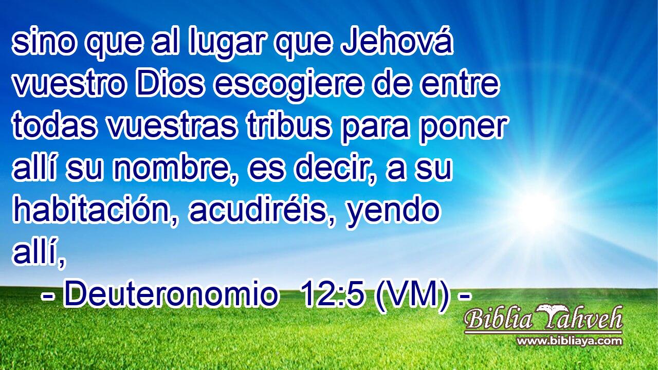  sino que al lugar que Jehová vuestro Dios escogiere de entre todas vuestras tribus para poner allí su nombre, es decir, a su habitación, acudiréis, yendo allí, 