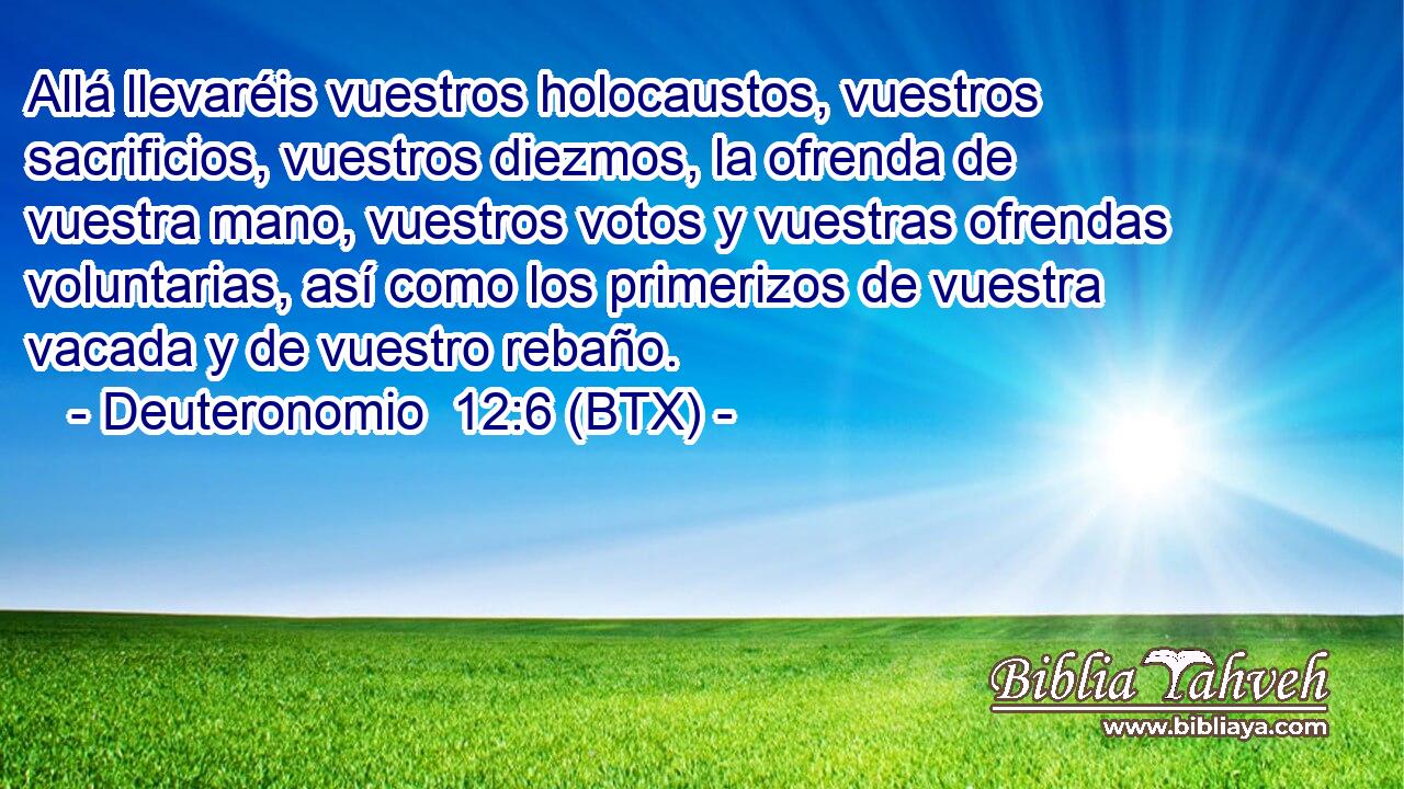 Allá llevaréis vuestros holocaustos, vuestros sacrificios, vuestros diezmos, la ofrenda de vuestra mano, vuestros votos y vuestras ofrendas voluntarias, así como los primerizos de vuestra vacada y de vuestro rebaño.