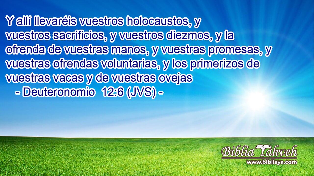 Y allí llevaréis vuestros holocaustos, y vuestros sacrificios, y vuestros diezmos, y la ofrenda de vuestras manos, y vuestras promesas, y vuestras ofrendas voluntarias, y los primerizos de vuestras vacas y de vuestras ovejas