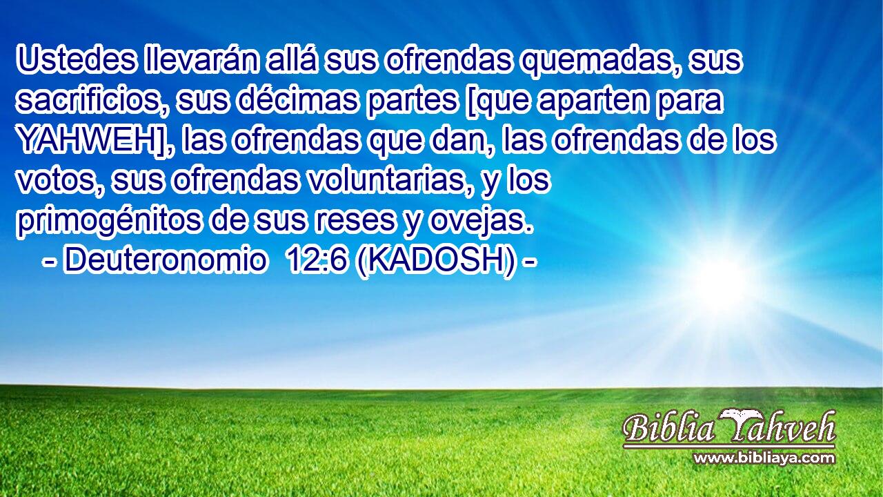  Ustedes llevarán allá sus ofrendas quemadas, sus sacrificios, sus décimas partes [que aparten para YAHWEH], las ofrendas que dan, las ofrendas de los votos, sus ofrendas voluntarias, y los primogénitos de sus reses y ovejas. 