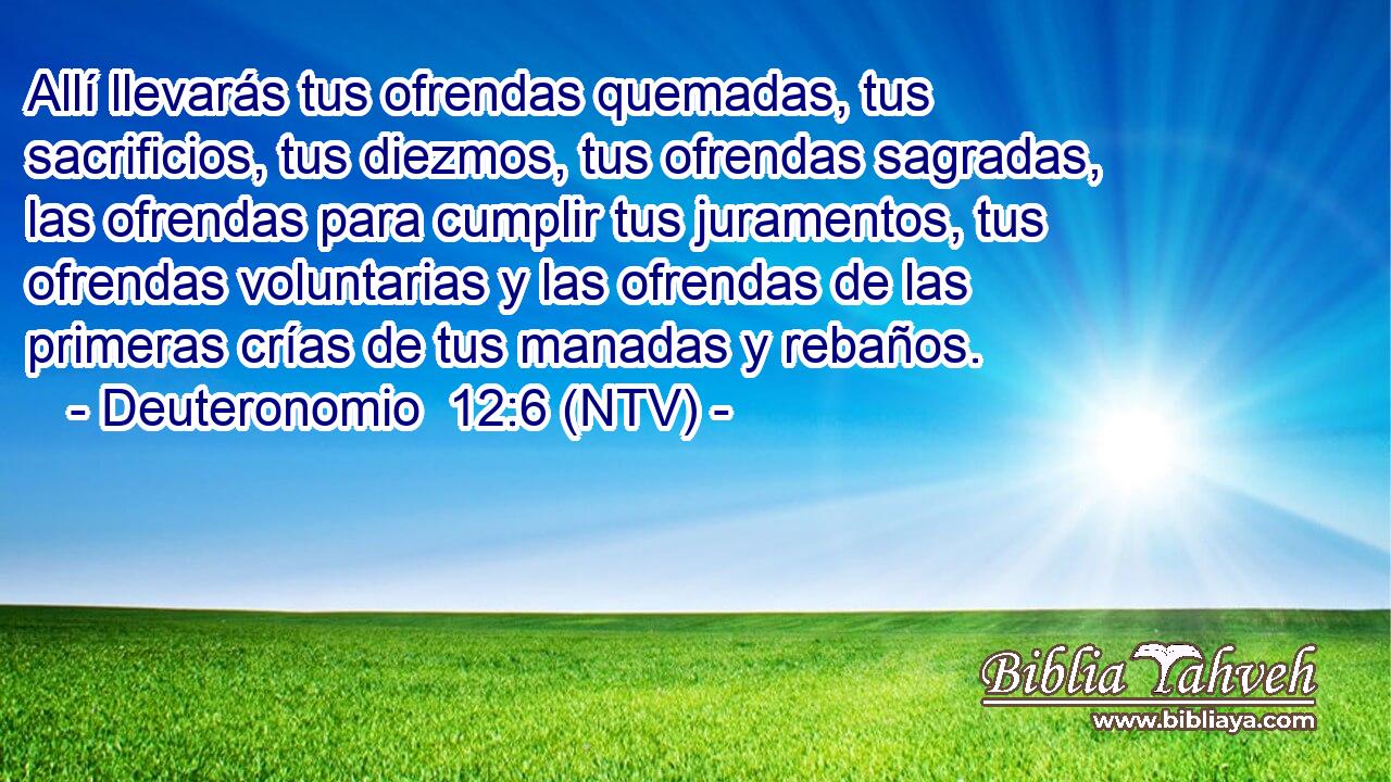 Allí llevarás tus ofrendas quemadas, tus sacrificios, tus diezmos, tus ofrendas sagradas, las ofrendas para cumplir tus juramentos, tus ofrendas voluntarias y las ofrendas de las primeras crías de tus manadas y rebaños.