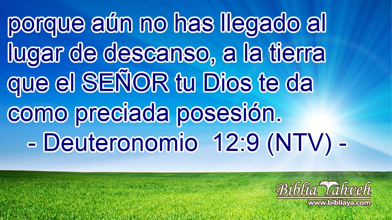 porque aún no has llegado al lugar de descanso, a la tierra que el SEÑOR tu Dios te da como preciada posesión.