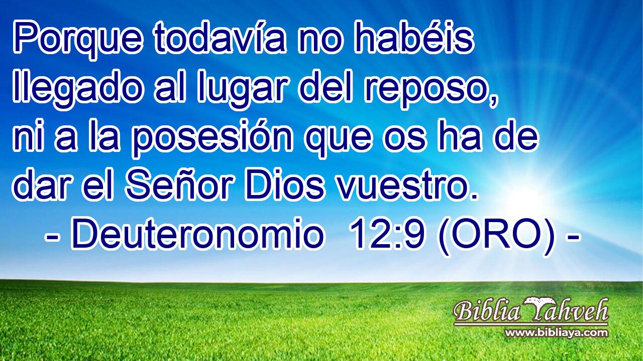  Porque todavía no habéis llegado al lugar del reposo, ni a la posesión que os ha de dar el Señor Dios vuestro. 