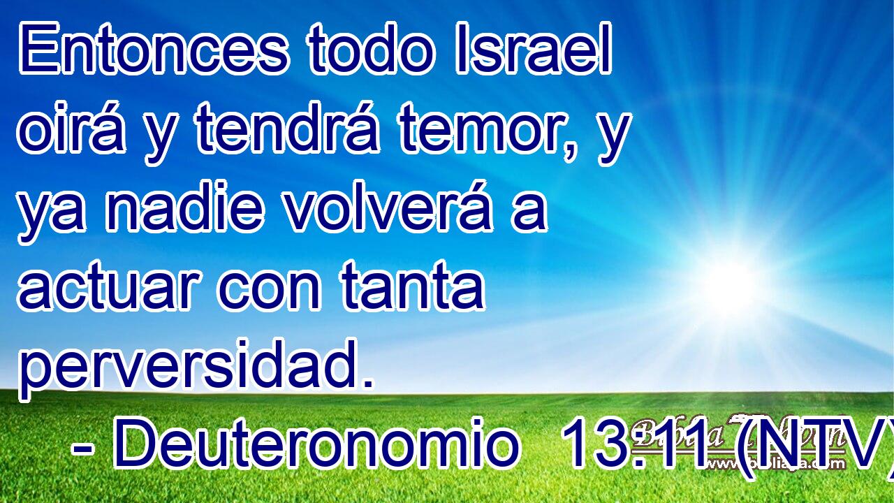 Entonces todo Israel oirá y tendrá temor, y ya nadie volverá a actuar con tanta perversidad.