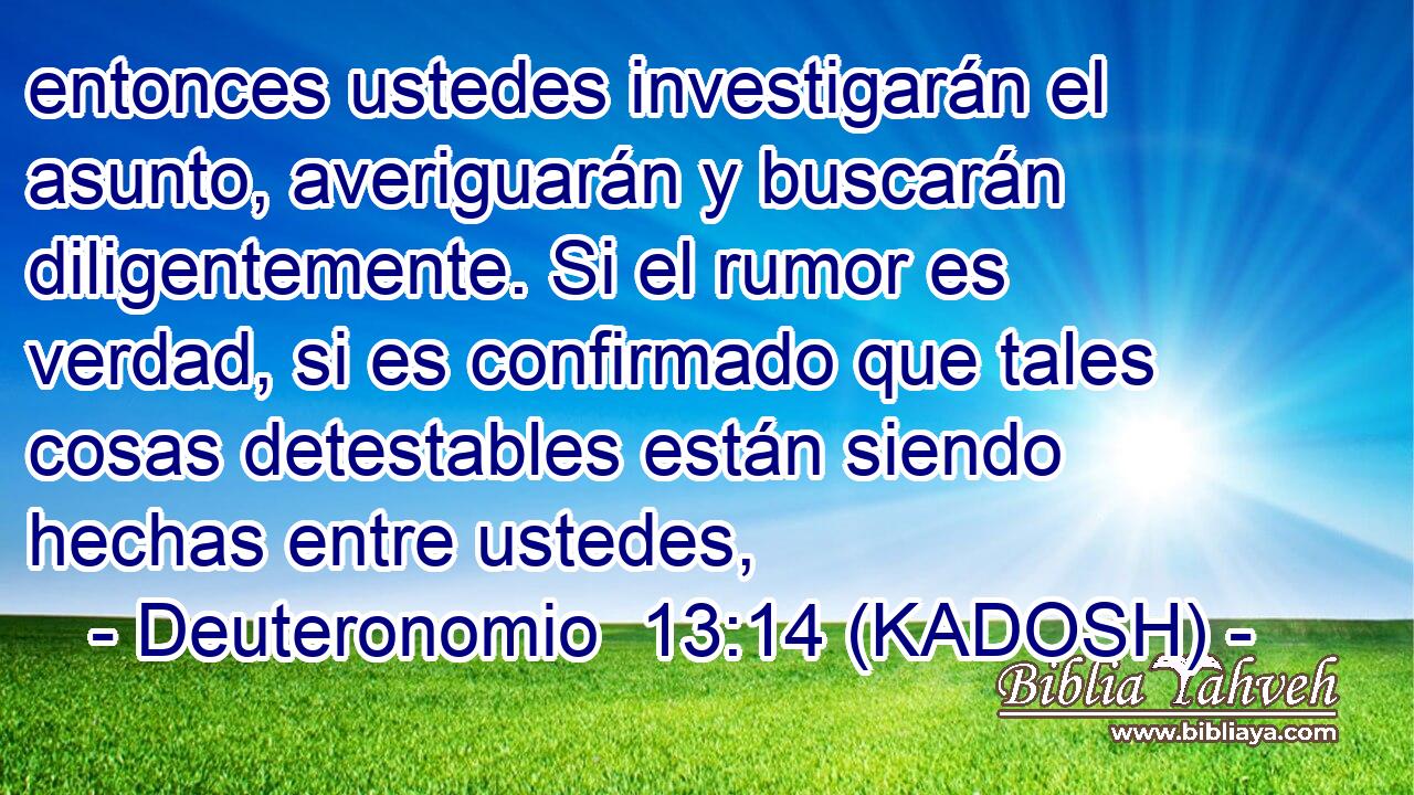  entonces ustedes investigarán el asunto, averiguarán y buscarán diligentemente. Si el rumor es verdad, si es confirmado que tales cosas detestables están siendo hechas entre ustedes, 