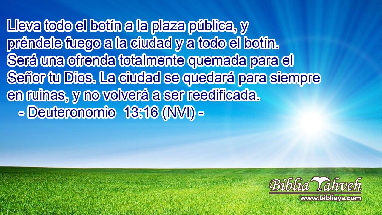  Lleva todo el botín a la plaza pública, y préndele fuego a la ciudad y a todo el botín. Será una ofrenda totalmente quemada para el Señor tu Dios. La ciudad se quedará para siempre en ruinas, y no volverá a ser reedificada. 