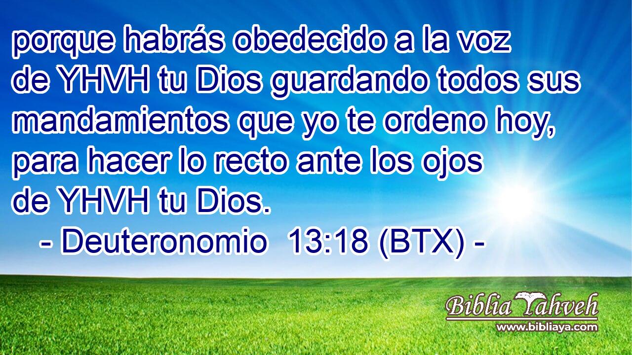porque habrás obedecido a la voz de YHVH tu Dios guardando todos sus mandamientos que yo te ordeno hoy, para hacer lo recto ante los ojos de YHVH tu Dios.