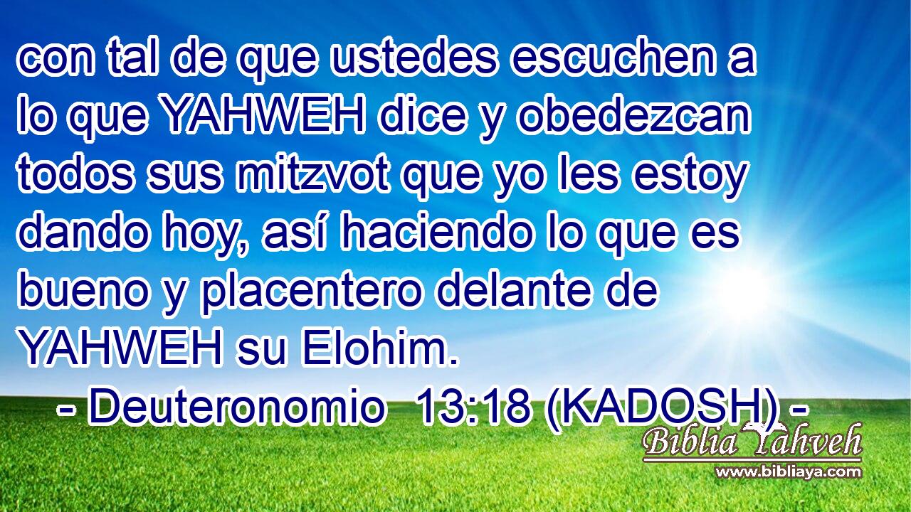  con tal de que ustedes escuchen a lo que YAHWEH dice y obedezcan todos sus mitzvot que yo les estoy dando hoy, así haciendo lo que es bueno y placentero delante de YAHWEH su Elohim. 