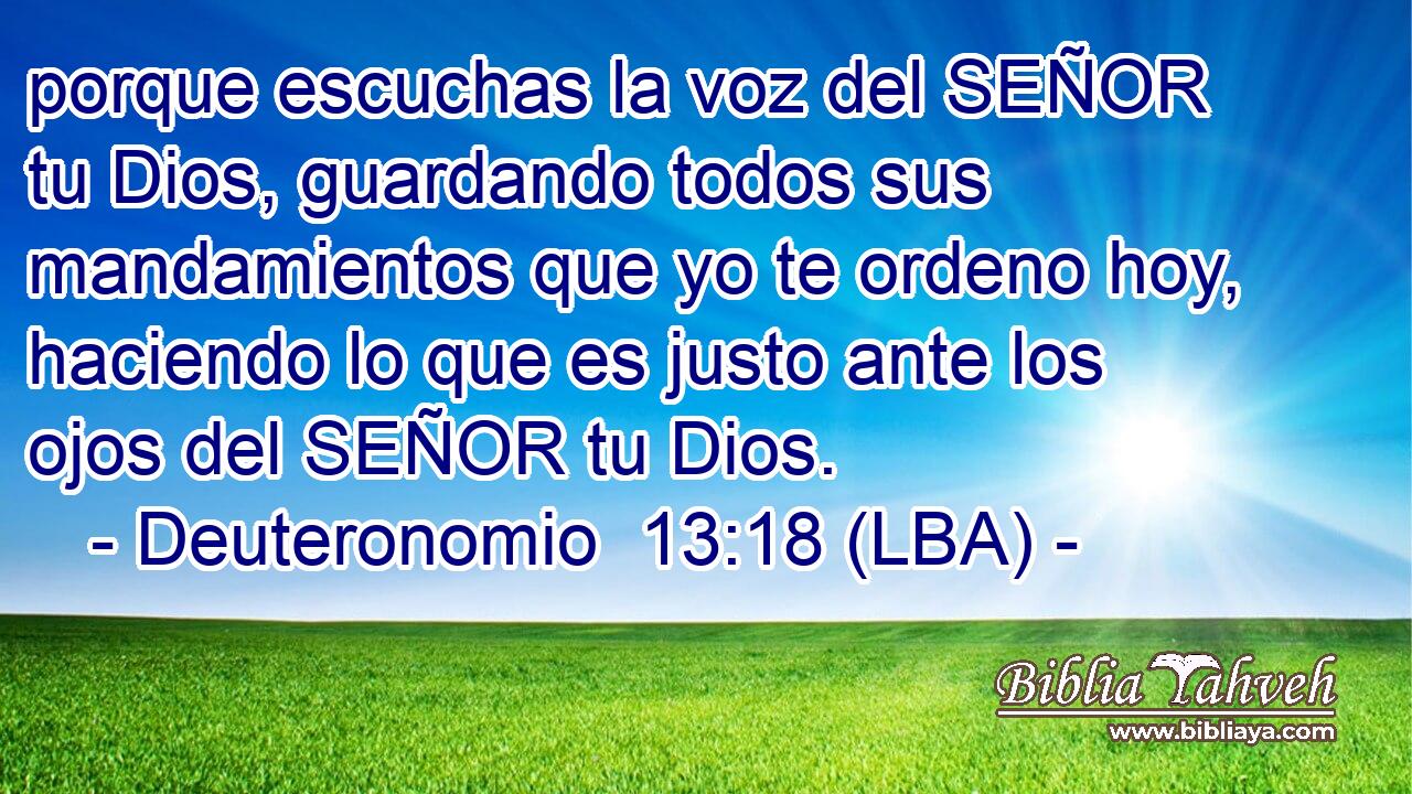 porque escuchas la voz del SEÑOR tu Dios, guardando todos sus mandamientos que yo te ordeno hoy, haciendo lo que es justo ante los ojos del SEÑOR tu Dios.