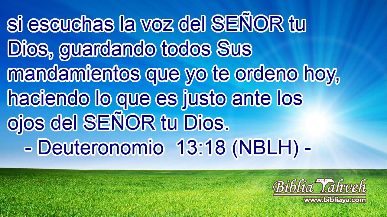  si escuchas la voz del SEÑOR tu Dios, guardando todos Sus mandamientos que yo te ordeno hoy, haciendo lo que es justo ante los ojos del SEÑOR tu Dios. 