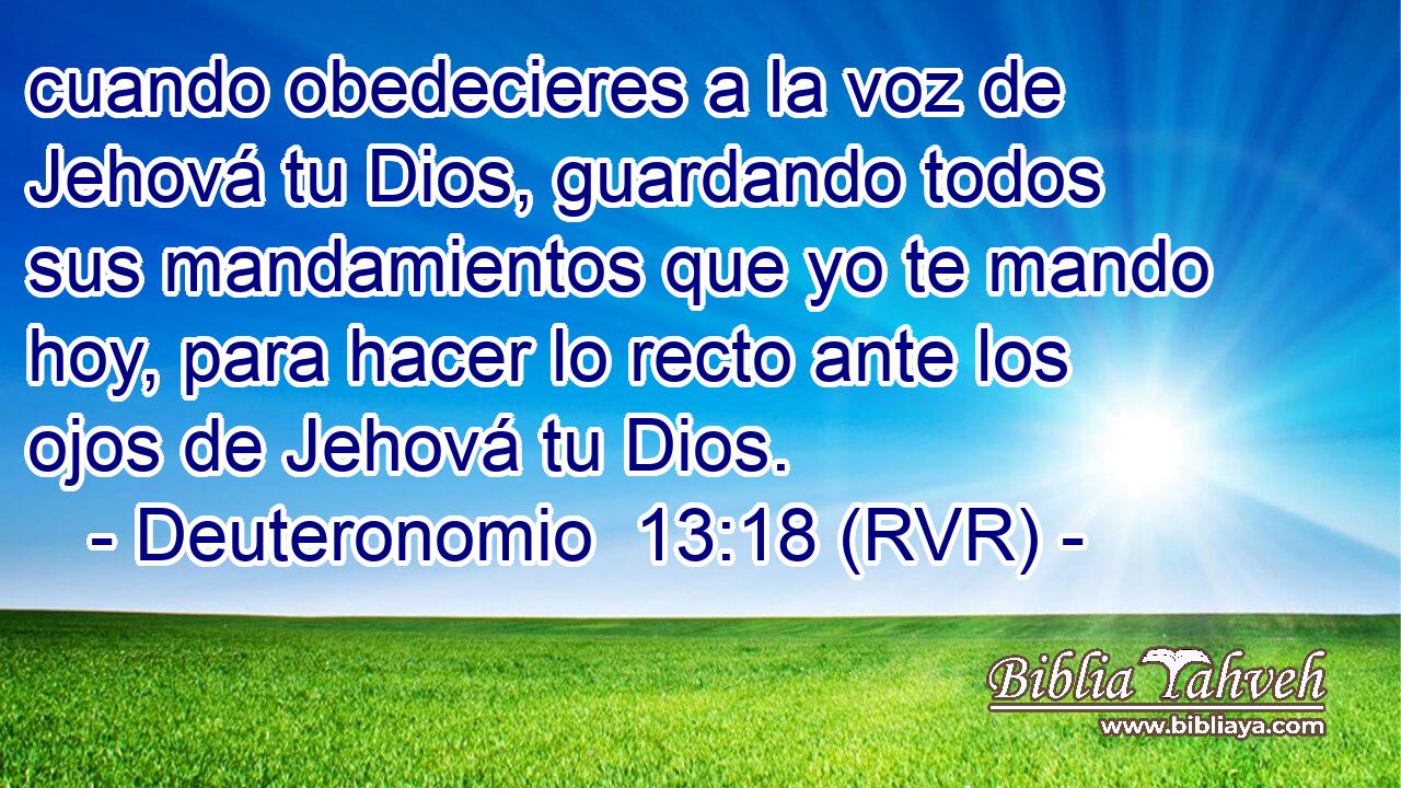 cuando obedecieres a la voz de Jehová tu Dios, guardando todos sus mandamientos que yo te mando hoy, para hacer lo recto ante los ojos de Jehová tu Dios.