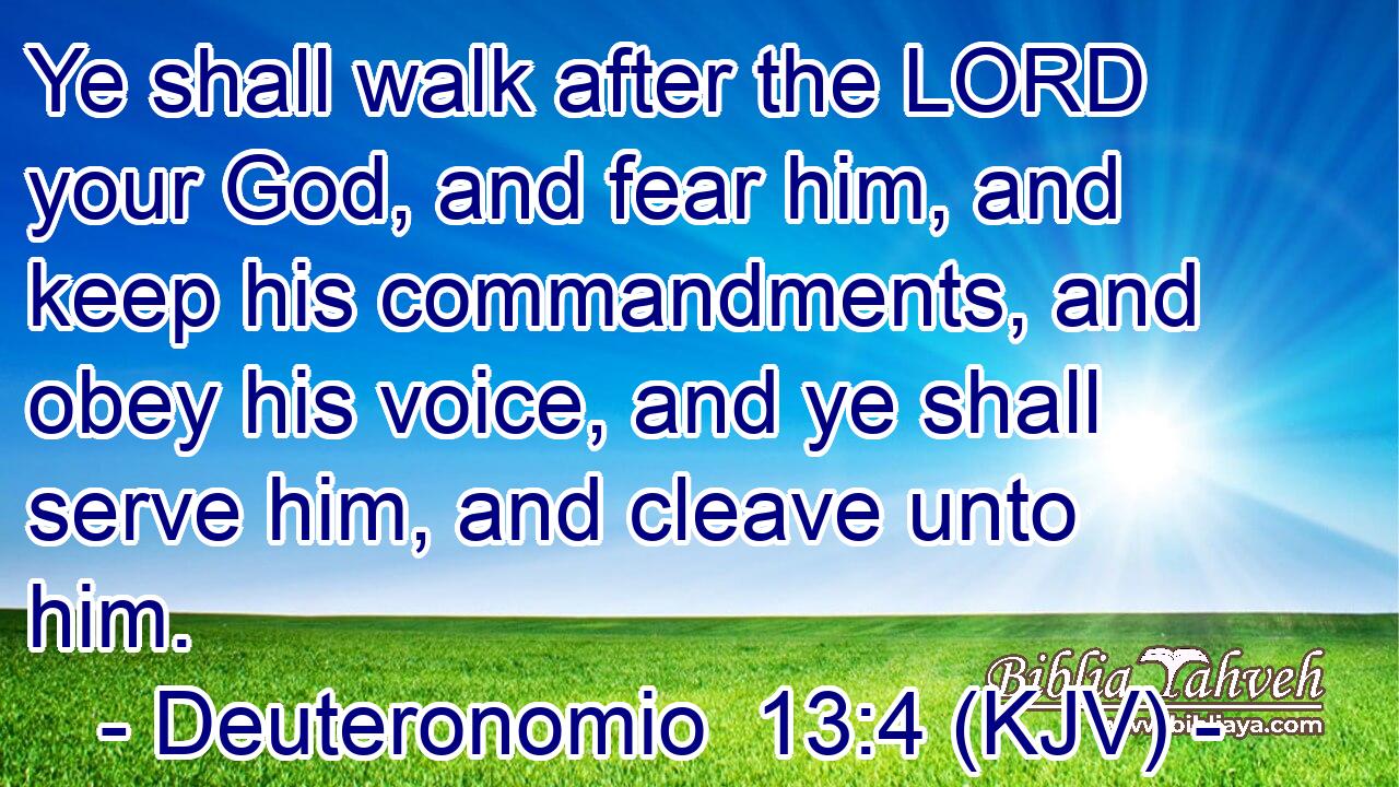 Ye shall walk after the LORD your God, and fear him, and keep his commandments, and obey his voice, and ye shall serve him, and cleave unto him.