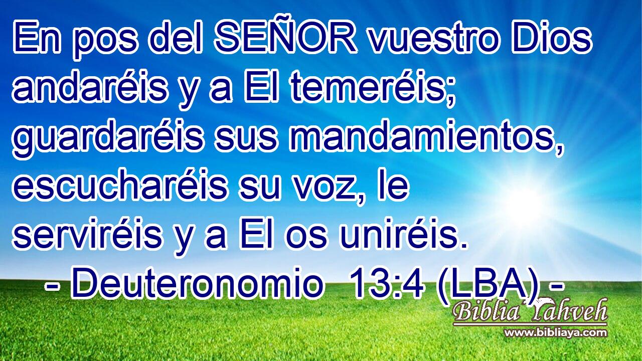 En pos del SEÑOR vuestro Dios andaréis y a El temeréis; guardaréis sus mandamientos, escucharéis su voz, le serviréis y a El os uniréis.