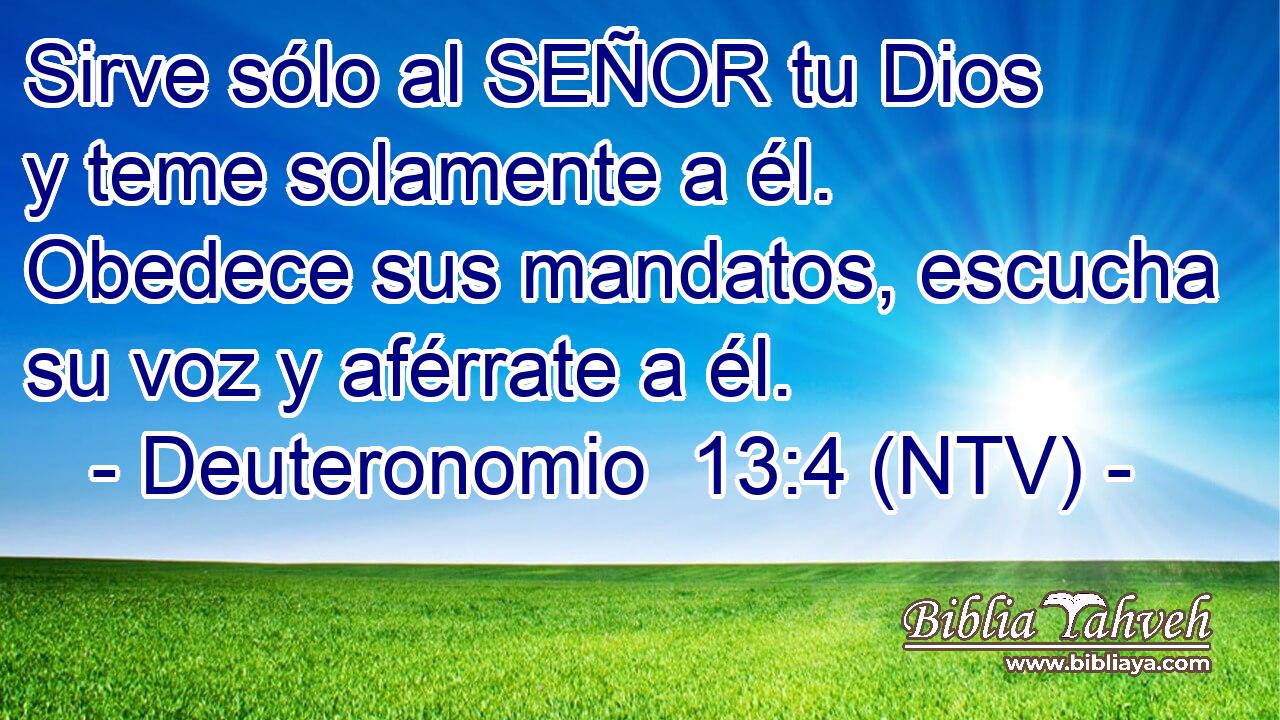 Sirve sólo al SEÑOR tu Dios y teme solamente a él. Obedece sus mandatos, escucha su voz y aférrate a él.