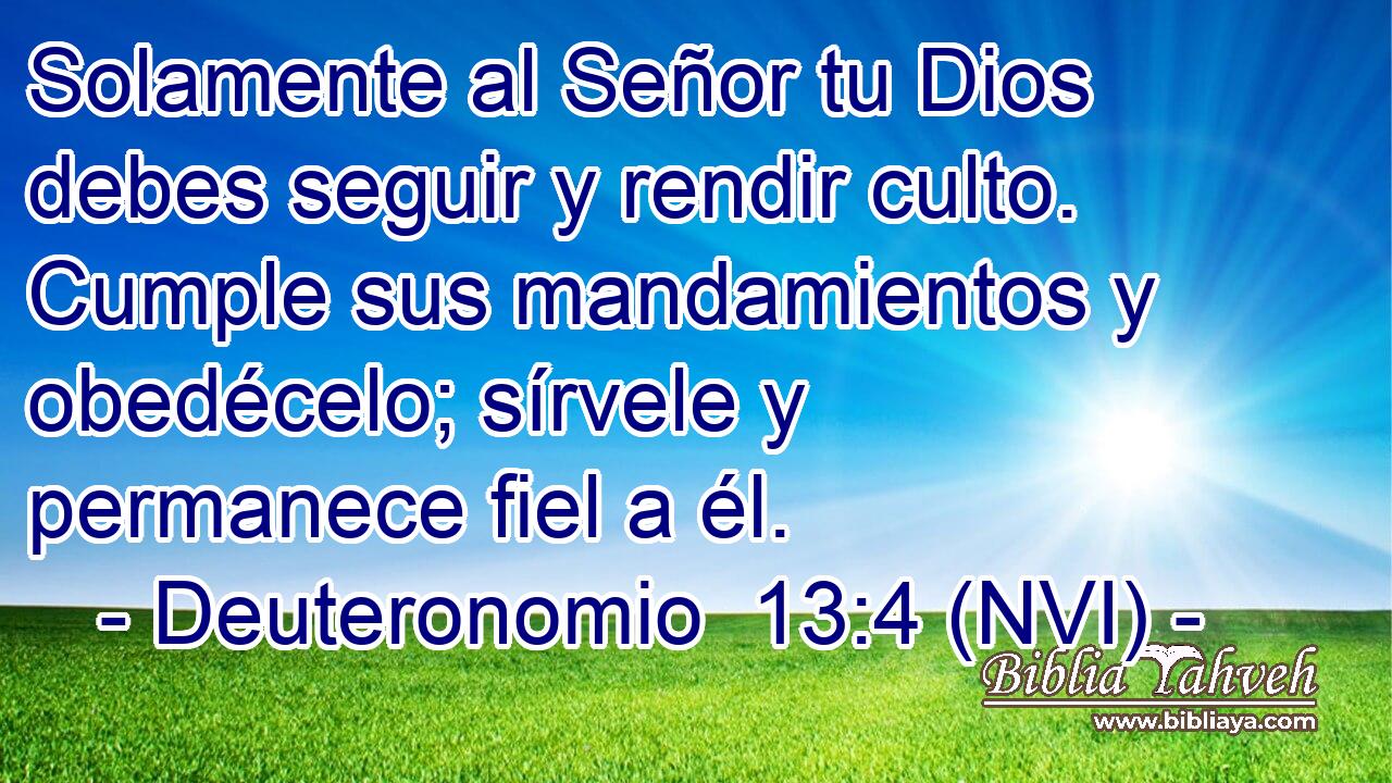  Solamente al Señor tu Dios debes seguir y rendir culto. Cumple sus mandamientos y obedécelo; sírvele y permanece fiel a él. 