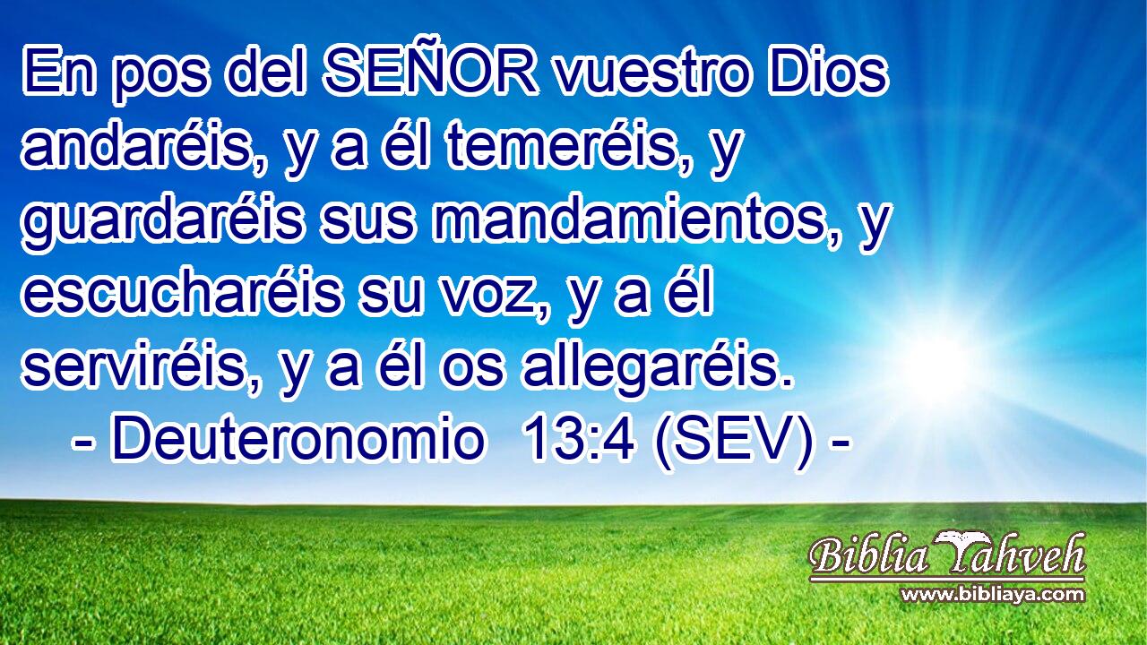 En pos del SEÑOR vuestro Dios andaréis, y a él temeréis, y guardaréis sus mandamientos, y escucharéis su voz, y a él serviréis, y a él os allegaréis.