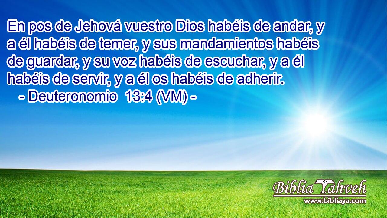  En pos de Jehová vuestro Dios habéis de andar, y a él habéis de temer, y sus mandamientos habéis de guardar, y su voz habéis de escuchar, y a él habéis de servir, y a él os habéis de adherir. 