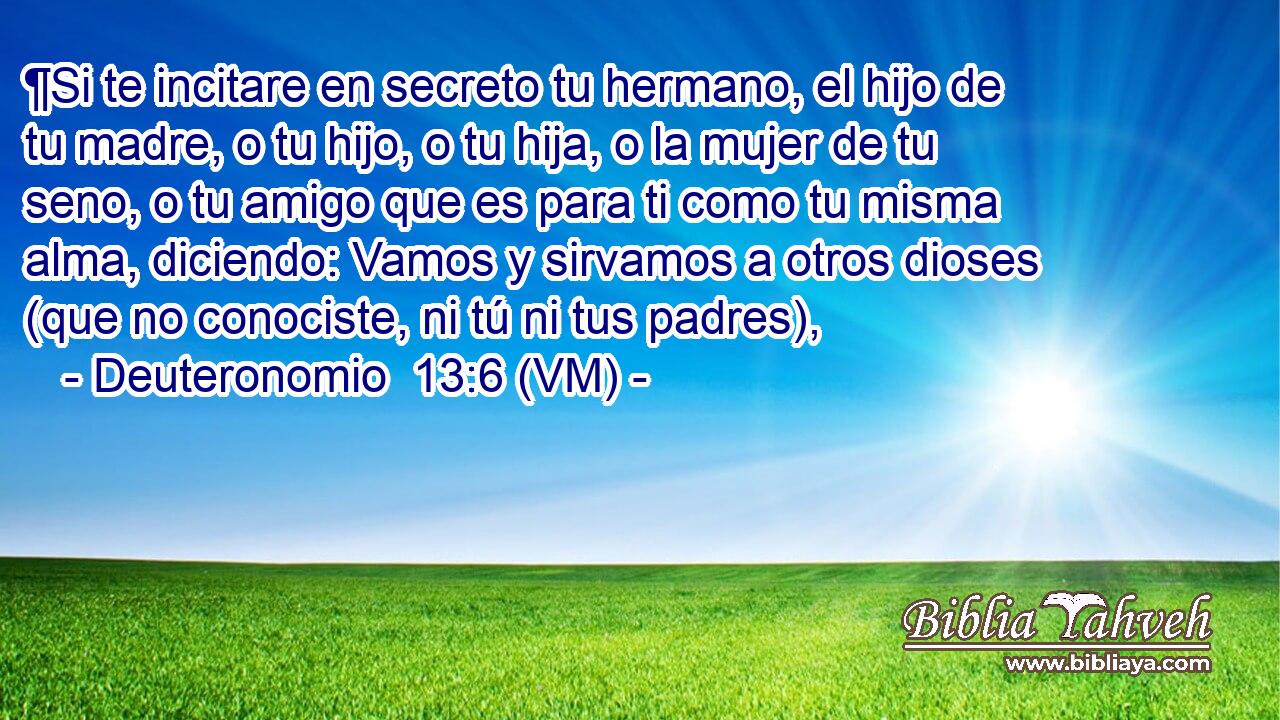  ¶Si te incitare en secreto tu hermano, el hijo de tu madre, o tu hijo, o tu hija, o la mujer de tu seno, o tu amigo que es para ti como tu misma alma, diciendo: Vamos y sirvamos a otros dioses (que no conociste, ni tú ni tus padres), 
