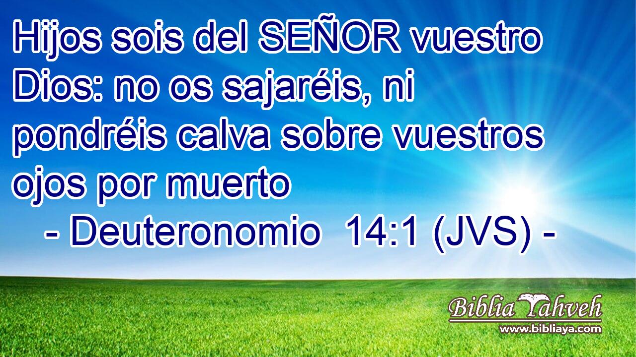 Hijos sois del SEÑOR vuestro Dios: no os sajaréis, ni pondréis calva sobre vuestros ojos por muerto
