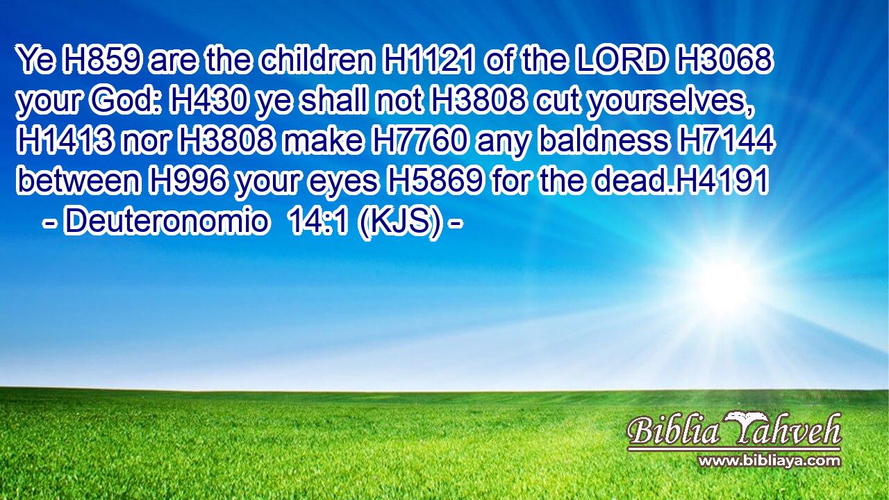 Ye H859 are the children H1121 of the LORD H3068 your God: H430 ye shall not H3808 cut yourselves, H1413 nor H3808 make H7760 any baldness H7144 between H996 your eyes H5869 for the dead.H4191