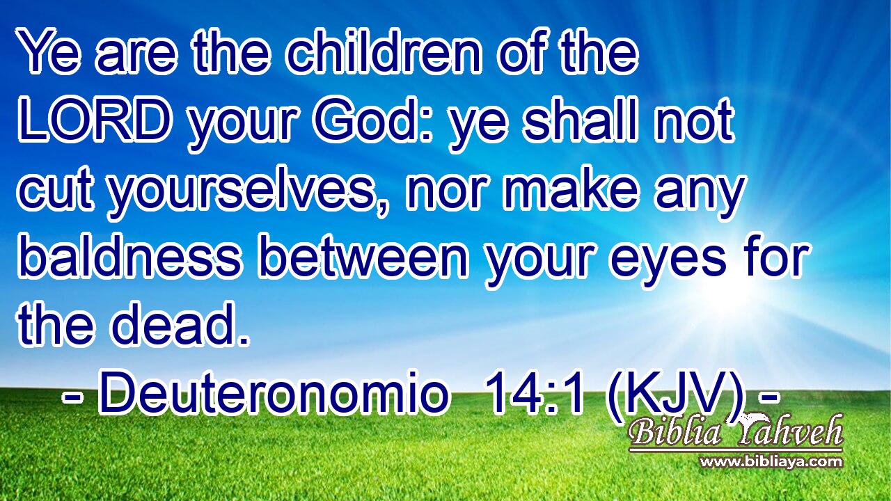 Ye are the children of the LORD your God: ye shall not cut yourselves, nor make any baldness between your eyes for the dead.
