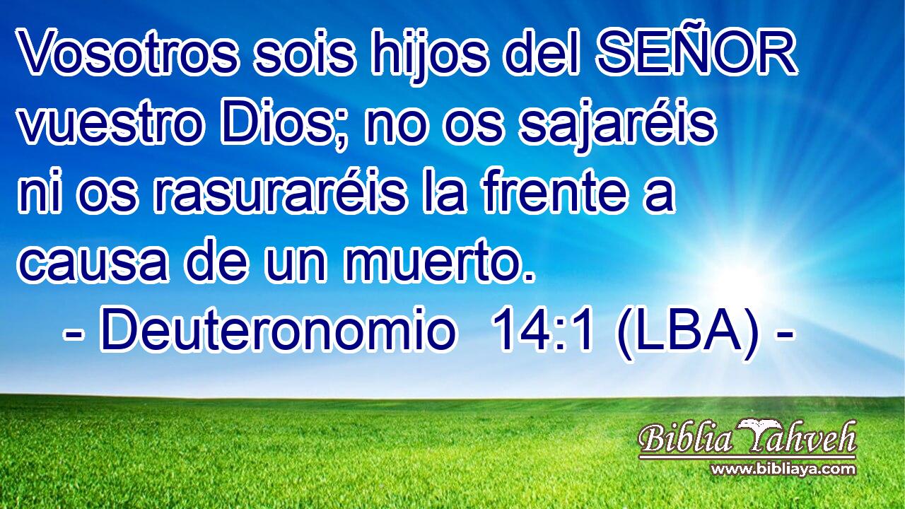 Vosotros sois hijos del SEÑOR vuestro Dios; no os sajaréis ni os rasuraréis la frente a causa de un muerto.
