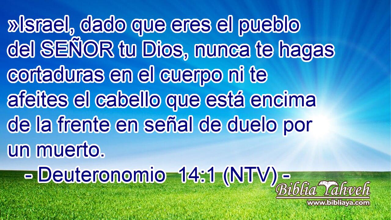 »Israel, dado que eres el pueblo del SEÑOR tu Dios, nunca te hagas cortaduras en el cuerpo ni te afeites el cabello que está encima de la frente en señal de duelo por un muerto.